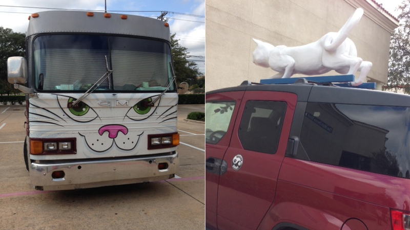Illustration for article titled I Saw Cat Acrobats in an Abandoned Quiznos and It Was Worth Every Cent